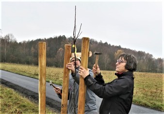 Národní Geopark Ralsko pokračuje ve výsadbě Aleje vzpomínek na památku zaniklých obcí v bývalém vojenském prostoru. Další jabloně a hrušně, které v sobotu 20. listopadu vysadili zaměstnanci Geoparku spolu s dobrovolníky a přáteli, připomínají pohnutou historii kraje. Pocházejí totiž z roubů starých ovocných stromů, které přežily jako poslední připomínka bývalého osídlení. 

