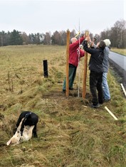 Národní Geopark Ralsko pokračuje ve výsadbě Aleje vzpomínek na památku zaniklých obcí v bývalém vojenském prostoru. Další jabloně a hrušně, které v sobotu 20. listopadu vysadili zaměstnanci Geoparku spolu s dobrovolníky a přáteli, připomínají pohnutou historii kraje. Pocházejí totiž z roubů starých ovocných stromů, které přežily jako poslední připomínka bývalého osídlení. 

