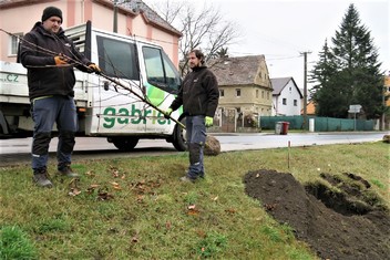 O výsadbu nové zeleně, na kterou obec Křešice získala grant Nadace ČEZ, se postarala odborná zahradnická firma.