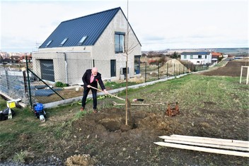 Výsadby nové zeleně podpořené z grantu Stromy Nadace ČEZ a jako vždy zúčastnil i starosta Mělníka Ctirad Mikeš.