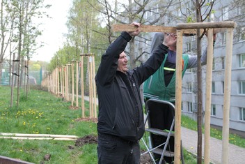 Nové stromořadí se nachází podél spojovacího pěšího chodníku mezi Golovinovo a  Zahradní ulicí v těsné blízkosti sportovního a relaxačního prostoru s parčíkem. Na jeho výsadbu získala Kadaň 150 000 korun od Nadace ČEZ v rámci grantu Stromy.