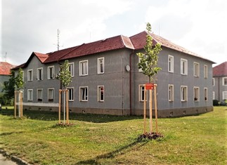 Nová zeleň poskytne stín bytovkám zaměstnanců Psychiatrické nemocnice Horní Beřkovice. Na její výsadbu získala nemocnice finanční příspěvek v rámci grantu Stromy od Nadace ČEZ.