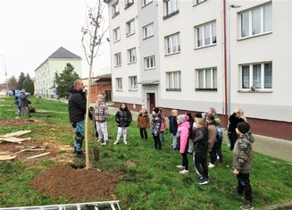 Žáci z 3. B ze ZŠ Habartov se seznamují s výsadbou nové zeleně ve městě.