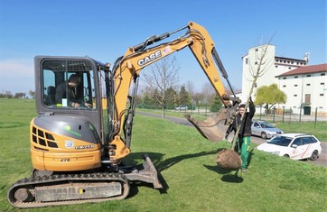 Padesát vzrostlých lip srdčitých nyní lemuje sportovní areál v Čeradicích na Žatecku. Na posledních devět z nich přispěla 64 000 korunami v rámci grantu Stromy Nadace ČEZ. Jejich výsadbu měla na starost odborná firma ARBOREA z Rakovníka.