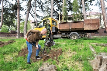 Na výsadbu nových habrů se přišel podívat i starosta Kadaně Jan Losenický. Neváhal se přitom chopit lopaty a jeden z již ukotvených stromů zahrnout zeminou.