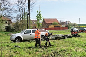 Výsadby dalších 40 lip srdčitých v obci Pětipsy se opět ujala odborná zahradnická firma Jaroslava Kučery z Kadaně. Po loňské podzimní výsadbě, rovněž podpořené grantem Stromy Nadace ČEZ, tak mají v obci lipový háj s osmdesáti stromy.