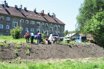 Výsadbu nové zeleně na pomezí Krásného Pole a Horní Chřibské měla na starosti odborná zahradnická firma z Jiřetína pod Jedlovou.