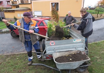 Zaměstnanci obce Koštice během výsadby nové zeleně.