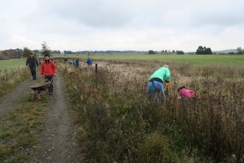 Národní Geopark Ralsko pokračuje ve výsadbě Aleje vzpomínek na památku zaniklých obcí v bývalém vojenském prostoru. Další jabloně a hrušně, které v sobotu 11. listopadu vysadili zaměstnanci Geoparku spolu s dobrovolníky a přáteli, tak připomínají pohnutou historii kraje. Pocházejí totiž z roubů starých ovocných stromů, které přežily jako poslední připomínka bývalého osídlení. Výsadbu již po čtvrté v řadě podpořila Nadace ČEZ v rámci grantu Stromy.

