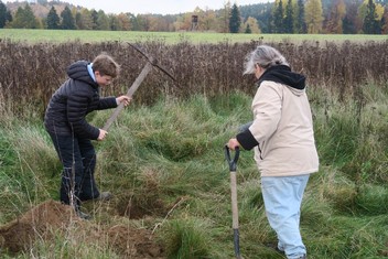 Národní Geopark Ralsko pokračuje ve výsadbě Aleje vzpomínek na památku zaniklých obcí v bývalém vojenském prostoru. Další jabloně a hrušně, které v sobotu 11. listopadu vysadili zaměstnanci Geoparku spolu s dobrovolníky a přáteli, tak připomínají pohnutou historii kraje. Pocházejí totiž z roubů starých ovocných stromů, které přežily jako poslední připomínka bývalého osídlení. Výsadbu již po čtvrté v řadě podpořila Nadace ČEZ v rámci grantu Stromy.

