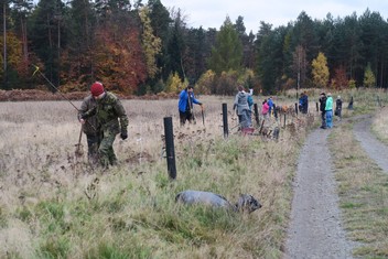 Národní Geopark Ralsko pokračuje ve výsadbě Aleje vzpomínek na památku zaniklých obcí v bývalém vojenském prostoru. Další jabloně a hrušně, které v sobotu 11. listopadu vysadili zaměstnanci Geoparku spolu s dobrovolníky a přáteli, tak připomínají pohnutou historii kraje. Pocházejí totiž z roubů starých ovocných stromů, které přežily jako poslední připomínka bývalého osídlení. Výsadbu již po čtvrté v řadě podpořila Nadace ČEZ v rámci grantu Stromy.

