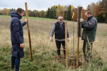 Národní Geopark Ralsko pokračuje ve výsadbě Aleje vzpomínek na památku zaniklých obcí v bývalém vojenském prostoru. Další jabloně a hrušně, které v sobotu 11. listopadu vysadili zaměstnanci Geoparku spolu s dobrovolníky a přáteli, tak připomínají pohnutou historii kraje. Pocházejí totiž z roubů starých ovocných stromů, které přežily jako poslední připomínka bývalého osídlení. Výsadbu již po čtvrté v řadě podpořila Nadace ČEZ v rámci grantu Stromy.

