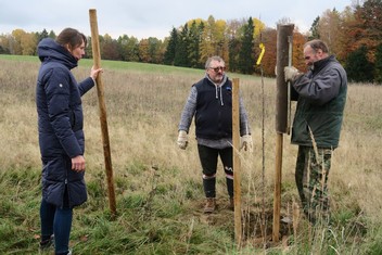 Národní Geopark Ralsko pokračuje ve výsadbě Aleje vzpomínek na památku zaniklých obcí v bývalém vojenském prostoru. Další jabloně a hrušně, které v sobotu 11. listopadu vysadili zaměstnanci Geoparku spolu s dobrovolníky a přáteli, tak připomínají pohnutou historii kraje. Pocházejí totiž z roubů starých ovocných stromů, které přežily jako poslední připomínka bývalého osídlení. Výsadbu již po čtvrté v řadě podpořila Nadace ČEZ v rámci grantu Stromy.

