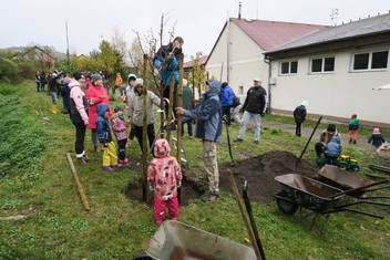 Mix čtrnácti ovocných stromů zakořeňuje od neděle 5. listopadu v podkrušnohorské obci Krásný Les na Karlovarsku. V budoucnu by tento ovocný sad měl tvořit klidovou relaxační zónu s naučnými prvky pro děti i dospělé, neboť mezi stromy jsou i méně známé odrůdy, byť pro tuto oblast původní. Výsadbu za 150 000 korun získaných od Nadace ČEZ v rámci grantu Stromy zrealizoval zapsaný spolek Občané Krásného Lesa sobě.