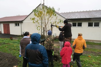 Mix čtrnácti ovocných stromů zakořeňuje od neděle 5. listopadu v podkrušnohorské obci Krásný Les na Karlovarsku. V budoucnu by tento ovocný sad měl tvořit klidovou relaxační zónu s naučnými prvky pro děti i dospělé, neboť mezi stromy jsou i méně známé odrůdy, byť pro tuto oblast původní. Výsadbu za 150 000 korun získaných od Nadace ČEZ v rámci grantu Stromy zrealizoval zapsaný spolek Občané Krásného Lesa sobě.