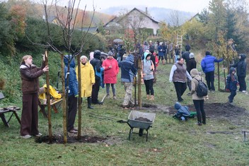 Mix čtrnácti ovocných stromů zakořeňuje od neděle 5. listopadu v podkrušnohorské obci Krásný Les na Karlovarsku. V budoucnu by tento ovocný sad měl tvořit klidovou relaxační zónu s naučnými prvky pro děti i dospělé, neboť mezi stromy jsou i méně známé odrůdy, byť pro tuto oblast původní. Výsadbu za 150 000 korun získaných od Nadace ČEZ v rámci grantu Stromy zrealizoval zapsaný spolek Občané Krásného Lesa sobě.