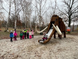Socha mamuta Mannyho z Doby Ledové, ovšem se skluzavkou, se stala od pondělí 27. listopadu jednou z dominant Pohádkového lesa v Bílině. Jako první si ji vyzkoušely děti ze třídy Motýlek z MŠ Čapkova.