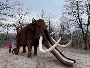 Socha mamuta Mannyho z Doby Ledové, ovšem se skluzavkou, se stala od pondělí 27. listopadu jednou z dominant Pohádkového lesa v Bílině. Jako první si ji vyzkoušely děti ze třídy Motýlek z MŠ Čapkova.