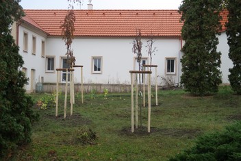 Pohled na část nově vysazené zeleně na dolní návsi v Košticích.