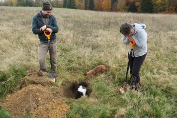 Národní Geopark Ralsko pokračuje ve výsadbě Aleje vzpomínek na památku zaniklých obcí v bývalém vojenském prostoru. Další jabloně a hrušně, které v sobotu 11. listopadu vysadili zaměstnanci Geoparku spolu s dobrovolníky a přáteli, tak připomínají pohnutou historii kraje. Pocházejí totiž z roubů starých ovocných stromů, které přežily jako poslední připomínka bývalého osídlení. Výsadbu již po čtvrté v řadě podpořila Nadace ČEZ v rámci grantu Stromy. Své tlapky přiložili k dílu i jezevčík Edy a kříženec Spoty.

