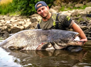 Roman Branda s letos na české vodě chyceným sumcem na hranici 240 cm.