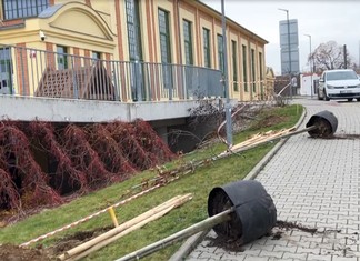 O výsadbu nových dubů a javorů se v areálu Techmania postarali zaměstnanci z odborné zahradnické firmy. 

