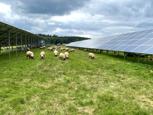 Fotovoltaická elektrárna Ralsko