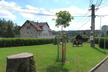 Za nadační příspěvek ve výši 124 000 korun v obci nejen dokázali vytvořit nový park, ale i revitalizovat odpočinkové místo u cesty v její horní části. Pokáceny byly staré a nemocné stromy a vysazeny nové. 